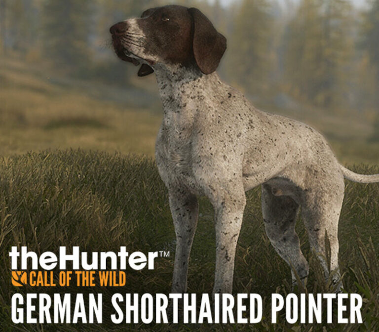 theHunter: Call of the Wild - German Shorthaired Pointer