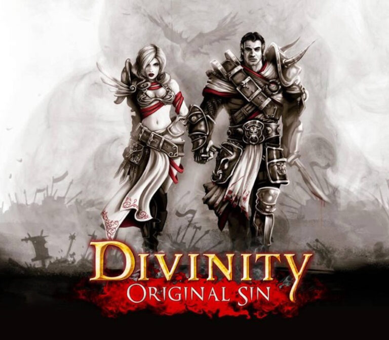 Divinity: Original Sin-gave