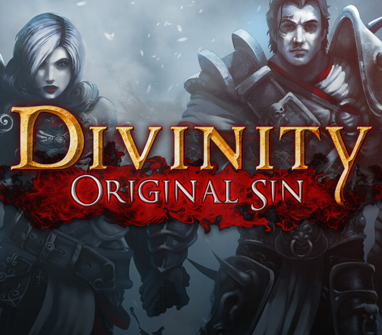 Divinity: Original Sin Collector's Edition Single Pack-gave
