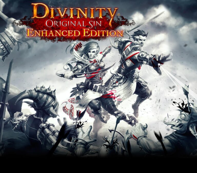 Divinity: Original Sin Enhanced Edition-gave