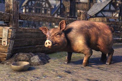 The Elder Scrolls Online - Bristlegut Piglet + 15 days of TESO Plus DLC Download