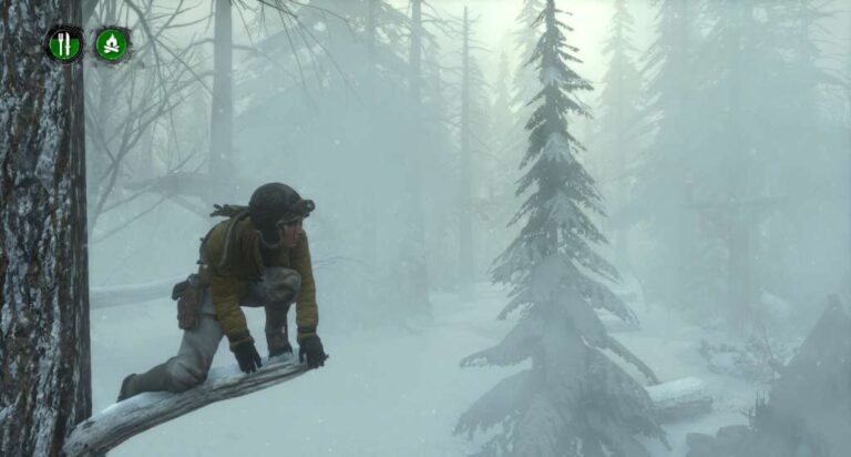 Rise of the Tomb Raider - Endurance Mode