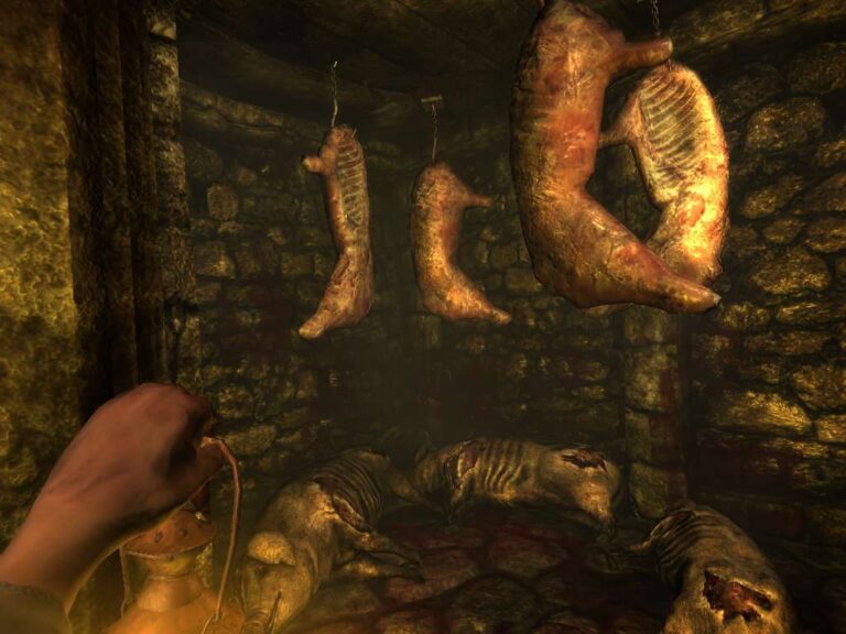 Amnesia Collection